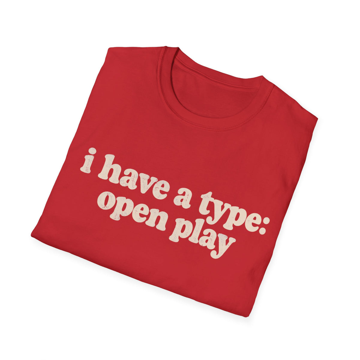 I Have A Type T-Shirt